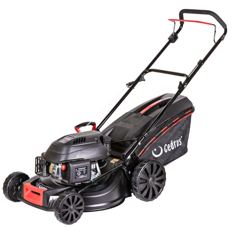 Kosiarka spalinowa Cedrus KS48